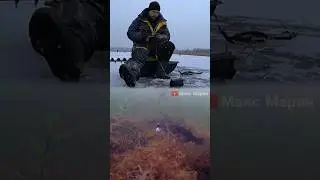 Поклёвки РОТАНА 