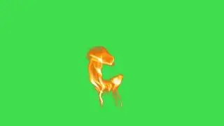 Fire green screen