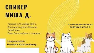 Спикер Миша Д. - Сумасшедшие и трезвые. Трезвый с 23.11.2013г.