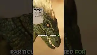 ASA Dossier: Raptor Fun Facts!