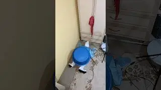 KAPLUMBAĞA OLDU | GÖZLÜKLÜ ŞİRİN