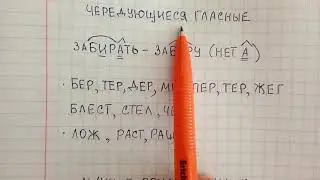 Чередующиеся гласные – что это такое, какие они бывают и как их правильно объяснять