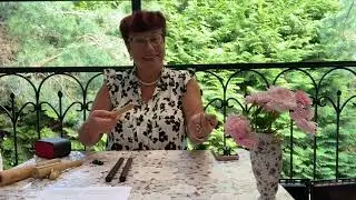 На веранде 2024. Встреча #1