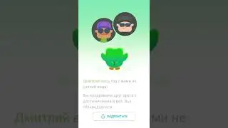 Duolingo? #duolingo #статистика #мотивациянауспех #duo #конец2024