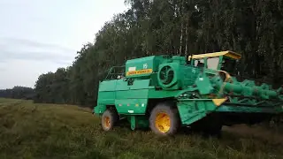 'Полесье кейс и дон