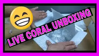 Live Coral Unboxing - 75 Gallon Reef Tank - Soft Coral