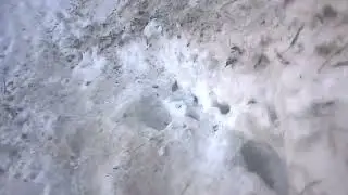Nathiagali to Murree Track 