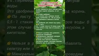 Особенности Подкормки Золой 