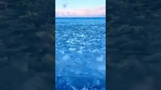 Селфхарм-Монеточка. Вот что мое спокойствие)))