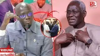 Habib Sy parrainé par les députés de Pastef ? Samba Dang brise le silence“Gni wax