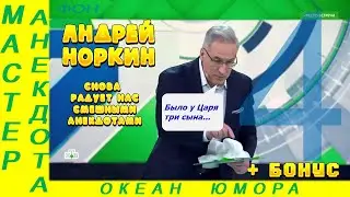 Смешно ДО СЛЕЗ 4! Андрей Норкин! Подборка Свежих  Анекдотов!