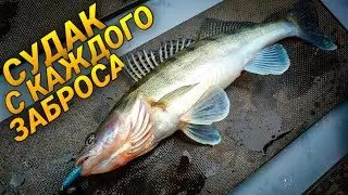 ЭТОТ СИЛИКОН СДЕЛАЛ РЫБАЛКУ! ЛОВЛЯ СУДАКА В НОЯБРЕ. Рыбалка на спиннинг 2020