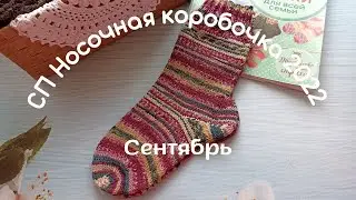 Носочная коробочка 2022/Сентябрь/Женские носки с пяткой Стронг 🍁