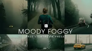 Lightroom Mobile Preset Free DNG | Moody Foggy Lightroom Preset Free | lightroom presets