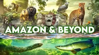 Zoo Tours: Zoo Miami's Amazon & Beyond | FULL TOUR