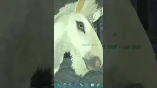 Unicorn has seen things 😳100 Days in ANTARTIKA! 