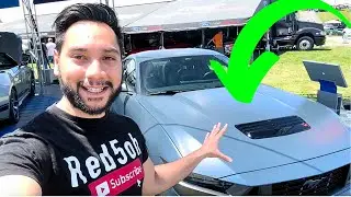 Here's WHY This DARK HORSE Will INCREASE In VALUE!