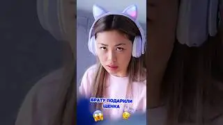 Брату подарили щенка 