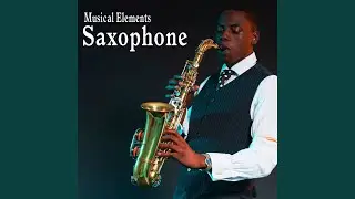 Double Horn Honk Played on a Baritone Saxophone