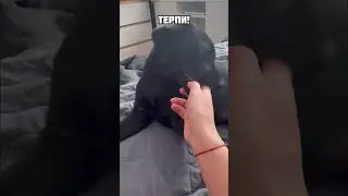 Напугала! 