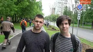 Липы и каштаны