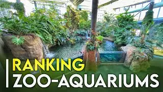 Ranking Every Zoo-Aquarium (I've Seen)