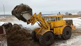Кировец К 744р1 К 744р3 с прицепом 2птс11 вывоз перегноя в поле.К 701 на погрузке.