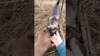Кто, если не мы!!!??? Люди помогите малышам!!!
