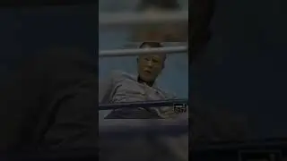 Смешное мма. Курьезы в спорте.