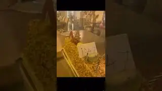 #atatv44 #baristv44