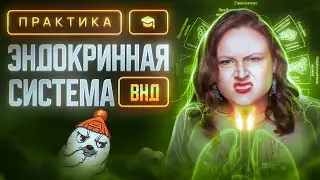 Эндокринная система. Высшая нервная деятельность | ЕГЭ-2025 по биологии
