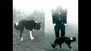 Joost - Filthy Dog (Instrumental Version)