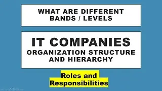 IT Company Hierarchy Explained: From Junior Developer to CEO | Understanding Organization Structure