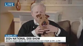 Watch the 2024 National Dog Show on WSFA