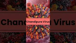 Chandipura Virus Infection: बच्चों को सबसे ज़्यादा खतरा! जाने इस बीमारी के लक्षण #chandipuravirus 1MG