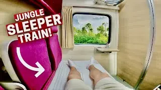 Riding the Overnight Jungle Train (First Class Private Room)