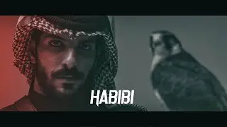 ريمكس ألباني مشهورة 
