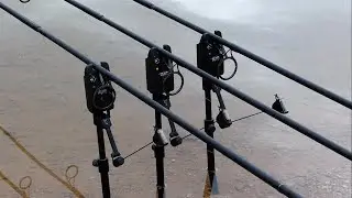 Pêche à la Carpe | Gravière