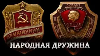 Что такое Народная дружина и что она может делать?!