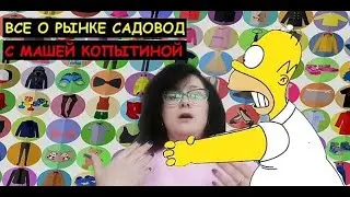Ответы на вопросы 💰 Как стать 🤝 ПОСРЕДНИКОМ 🤝 РЫНКА САДОВОД❓ | Маша Копытина [sadovodopt]