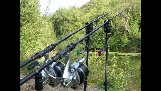 Pêche à la Carpe | Comment Réussir sa pêche en Rivière ?