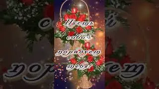 Вечера Чудесного и Нежного! Приятного Отдыха! #shorts #доброговечера #открытка