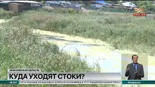 Жители поселка Аршалы обеспокоены загрязнением местной балки