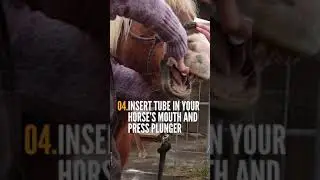 Horse Dewormer🐴 4 Easy Steps to Deworm Your Horse. 