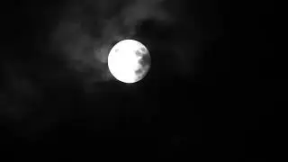 (FREE) Experimental Type Beat -  
