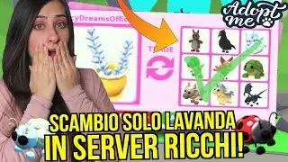 Scambio solo LAVANDA e OTTENGO PET ASSURDI 😱 Roblox ADOPT ME  ITA By FrancyDreams