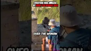 Stay Away from the Smart Monkey 👌