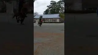 ANCIENT TRADITION - Japanese Horseback Archery! 😯