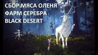 ТОП Спот для сбора Мяса $ Фарм серебра на сборе Black Desert