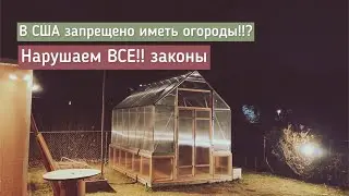 В США запрещено иметь огороды!!? Нарушаем ВСЕ!! законы.